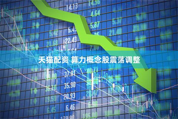 天猫配资 算力概念股震荡调整