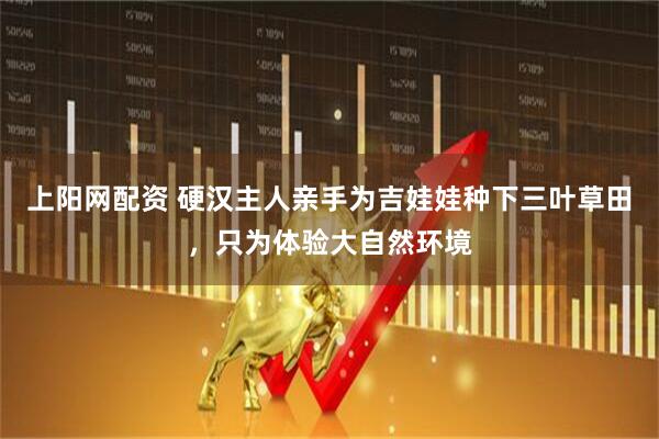 上阳网配资 硬汉主人亲手为吉娃娃种下三叶草田，只为体验大自然环境
