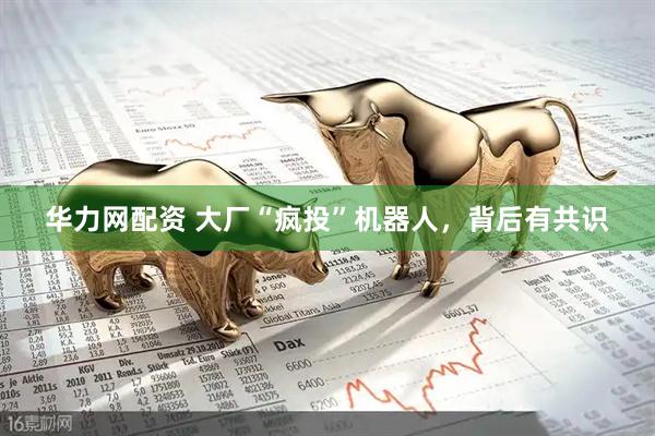 华力网配资 大厂“疯投”机器人，背后有共识