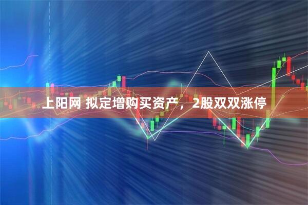 上阳网 拟定增购买资产，2股双双涨停