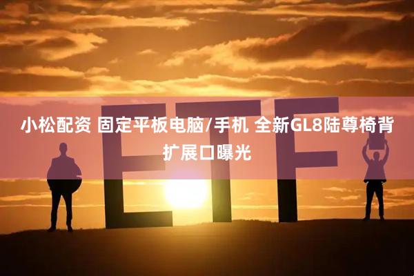 小松配资 固定平板电脑/手机 全新GL8陆尊椅背扩展口曝光