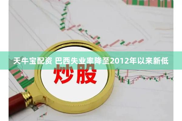 天牛宝配资 巴西失业率降至2012年以来新低